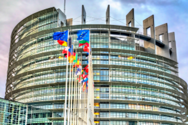 EU Parlament in Straßburg mit Fahnen davor.
